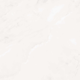 Gạch 100x100 bóng 11DNCLI