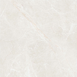 Gạch 100x100 bóng 11DNEB