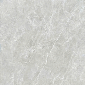Gạch 120x120 mờ 12DNRD
