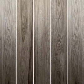 Gạch lát nền giả gỗ 20x100 21MZ11Z