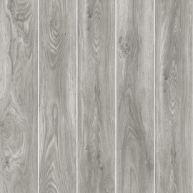 Gạch lát nền giả gỗ 20x100 21MZ2D
