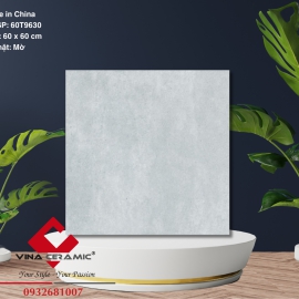 Gạch vân xi măng 60x60 cm 60T9630