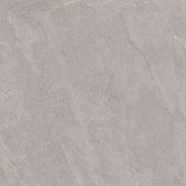 Gạch 80x80 bóng 80T5819