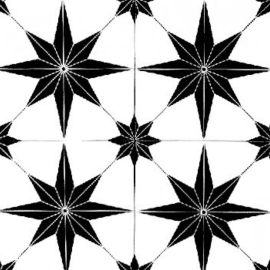 Gạch bông 20x20