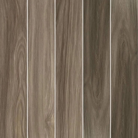 Gạch lát nền giả gỗ 20x100 21MZ8D