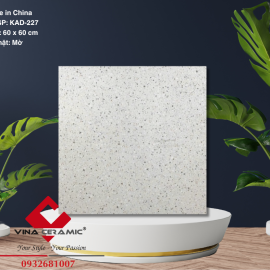 Gạch terrazzo 60x60 cm KAD-227