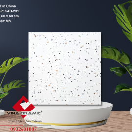 Gạch terrazzo 60x60 cm KAD-231