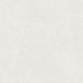 Gạch 60x60 bóng 60TJ16 